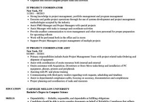 Entry Level Project Coordinator Resume Sample Project Coordinator Resume