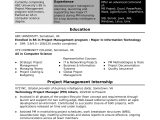 Entry Level Project Management Resume Samples Sample Resume for An assistant It Project Manager Monster.com