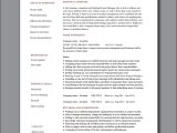 Entry Level Project Manager Resume Sample Entry Level Project Manager Cv