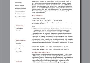 Entry Level Project Manager Resume Sample Entry Level Project Manager Cv