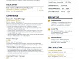 Entry Level Project Manager Resume Samples 4 Job-winning Project Manager Resume Examples In 2022 (layout …