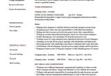 Entry Level Project Manager Resume Samples Entry Level Project Manager Resume, Example, Cv, Junior …
