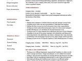 Entry Level Project Manager Resume Samples Entry Level Project Manager Resume, Example, Cv, Junior …