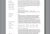 Entry Level Project Manager Sample Resume Entry Level Project Manager Cv