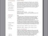 Entry Level Project Manager Sample Resume Entry Level Project Manager Cv