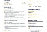 Entry Level Python Developer Resume Sample Professional Python Developer Resume Examples & Guide for 2022 …