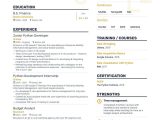Entry Level Python Developer Resume Sample Professional Python Developer Resume Examples & Guide for 2022 …