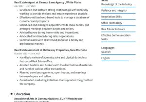 Entry Level Real Estate assistant Resume Sample Real Estate Agent Resume Examples & Writing Tips 2022 (free Guide)
