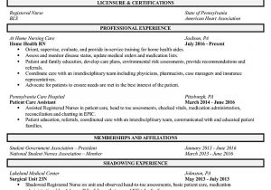 Entry Level Registered Nurse Resume Template Nurse Resume (entry-level)