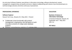Entry Level Resume College Student Sample Entry-level Information Technology Resume Examples In 2022 …