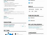 Entry Level Resume No Experience Template Entry Level Cyber Security Resume with No Experienceâ¢ Printable …