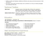 Entry Level Resume Sample with No Experience Sample Resume for An Entry-level It Developer Monster.com