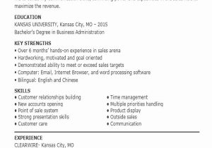 Entry Level Sales associate Resume Sample 20 Entry Level Sales associate Resume