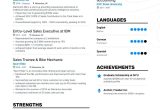 Entry Level Sales Rep Resume Samples 6lancarrezekiq Entry Level Sales Resume Examples [adapted for 2019] Sales …