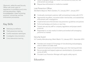 Entry Level Sample Security Guard Resume Security Officer Resume Examples In 2022 – Resumebuilder.com