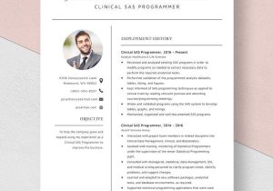 Entry Level Sas Programmer Resume Sample Clinical Sas Programmer Resume Template – Word, Apple Pages …