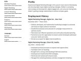Entry Level social Media Marketing Resume Sample Digital Marketing Resume Examples & Writing Tips 2022 (free Guide)