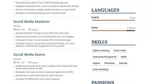 Entry Level social Media Marketing Resume Sample social Media Manager Resume Examples & Guide for 2022 (layout …