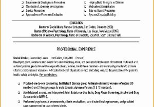 Entry Level social Worker Resume Sample 9 social Worker Resume Template