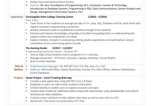Entry Level software Developer Resume Sample Entry Level software Developer Resume Resumes