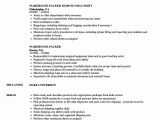Entry Level Warehouse Worker Resume Samples Entry Level Warehouse Resume Lovely Warehouse Packer Resume …