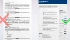 Er Nurse Job Description Resume Sample Emergency Room (er) Nurse Resume Sample & Job Description