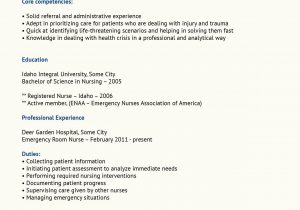 Er Nurse Job Description Resume Sample Professional Er Nurse Resume Example Nursing Resume, Emergency …