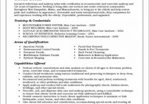 Example Of A Functional Resume Sample Functional Resume Example