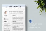 Eye Catching Resume Templates Free Download 75 Best Free Resume Templates Of 2019