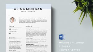 Eye Catching Resume Templates Free Download 75 Best Free Resume Templates Of 2019