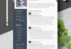 Eye Catching Resume Templates Free Download Professional Word Resume Template Creative Illustrator Templates …