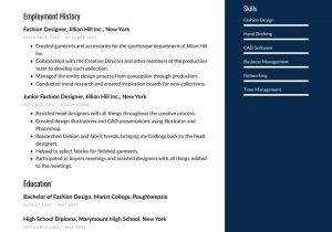 Fashion Designer Resume Samples for Freshers Fashion Designer Resume Examples & Writing Tips 2021 (free Guide)