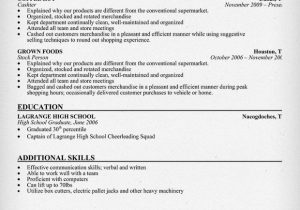 Fast Food Restaurant Cashier Resume Sample Fast Food Restaurant Cashier Resume Sample Fast