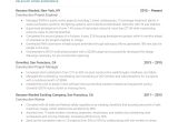 Federal Resume Project Healthcare Samples Risk Analyst 13 Project Manager Resume Examples for 2022 Resume Worded