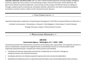 Federal Resume Samples with Examples Of Work Government Resume Template Monster.com
