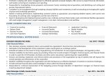 Finance Executive Resume Sample In India Chief Finance Officer Resume Examples & Template (with Job Winning …