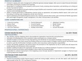 Finance Executive Resume Sample In India Chief Finance Officer Resume Examples & Template (with Job Winning …
