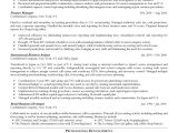 Finance Executive Resume Sample In India Senior Operating and Finance Executive Resume