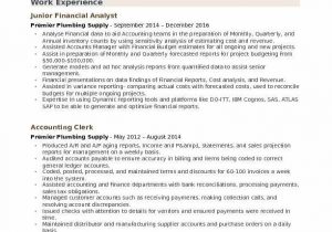 Financial Analyst Resume Sample Fresh Graduate Accounting Resume Samples Examples and Tips