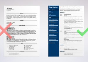 Financial Analyst Sample Resume Performance Bonus Analysis Finance Resume Examples & Writing Guide for 2022