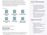Financial asset Risk Management Sample Resume for Free Risk Manager Resume Example with Content Sample Craftmycv