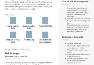 Financial asset Risk Management Sample Resume for Free Risk Manager Resume Example with Content Sample Craftmycv