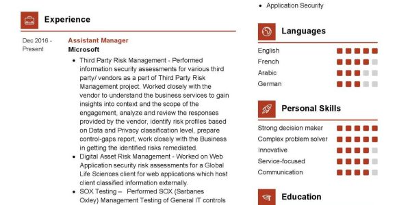 Financial asset Risk Management Sample Resume for Free Risk Manager Resume Sample 2022 Writing Tips – Resumekraft