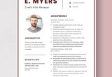 Financial asset Risk Management Sample Resume for Free Risk Manager Resume Templates – Design, Free, Download Template.net