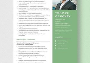 Financial asset Risk Management Sample Resume for Free Risk Manager Resume Templates – Design, Free, Download Template.net