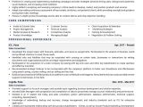 Financial Sales Consultant Iii Resume Samples Sales Consultant Resume Examples & Template (with Job Winning Tips)