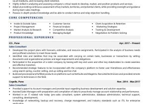 Financial Sales Consultant Iii Resume Samples Sales Consultant Resume Examples & Template (with Job Winning Tips)