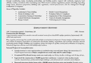 Financial Services Project Manager Resume Sample Download 56 Financial Advisor Resume Examples