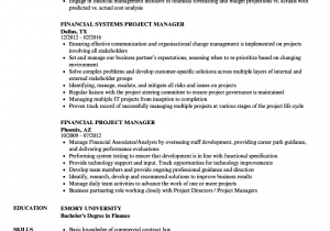 Financial Services Project Manager Resume Sample Financial Project Manager Resume Samples