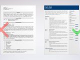 Financial Services Technology Consultant Resume Sample Financial Advisor Resume Sample & Guide (20lancarrezekiq Examples)